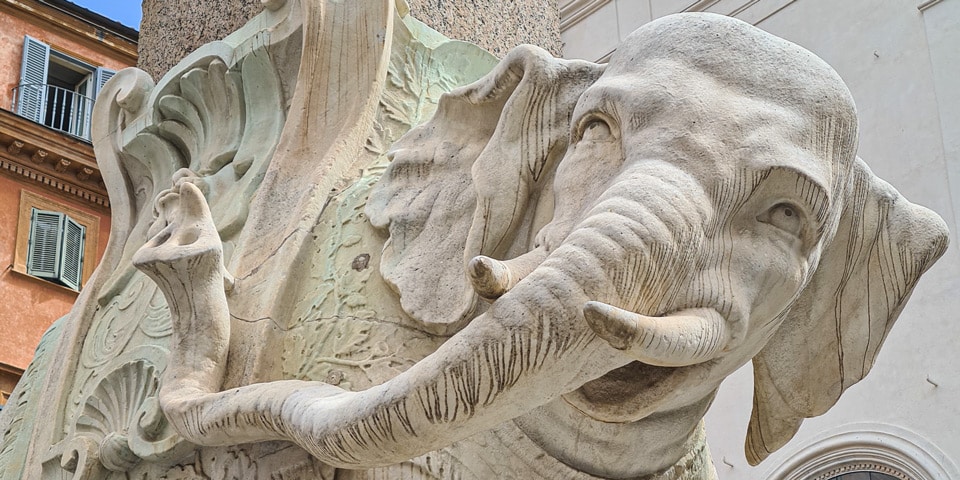 Nahansicht von Kopf und Stoßzähnen von Berninis Elefant auf der Piazza della Minerva