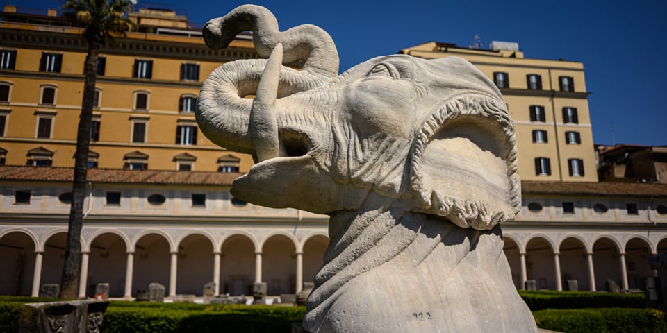 Kolossaler marmorner Elefantenkopf aus der Renaissance mit einer Schlange im Großen Kreuzgang der Diokletiansthermen in Rom