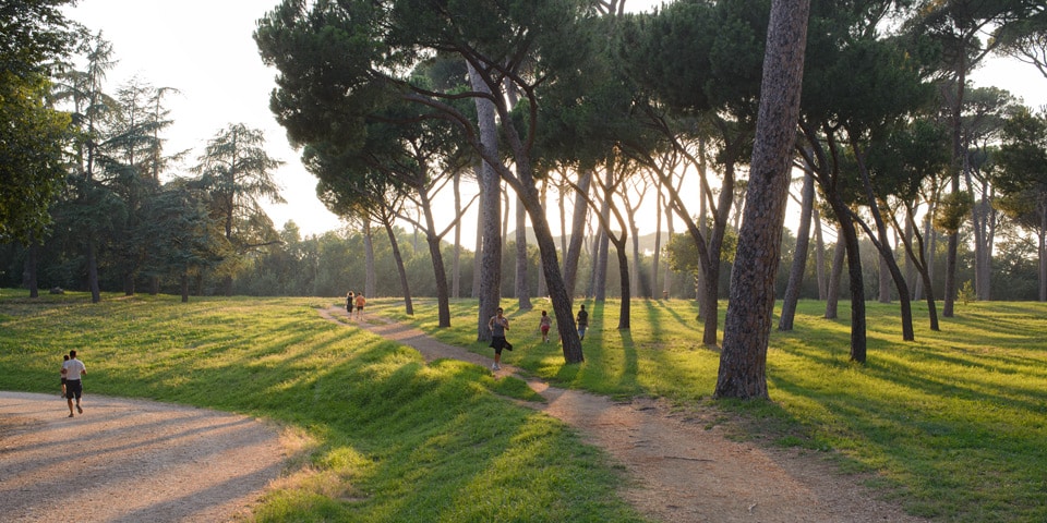 Läufer auf einer Wiese unter Pinien bei Sonnenuntergang in der Villa Doria Pamphilj im Juli