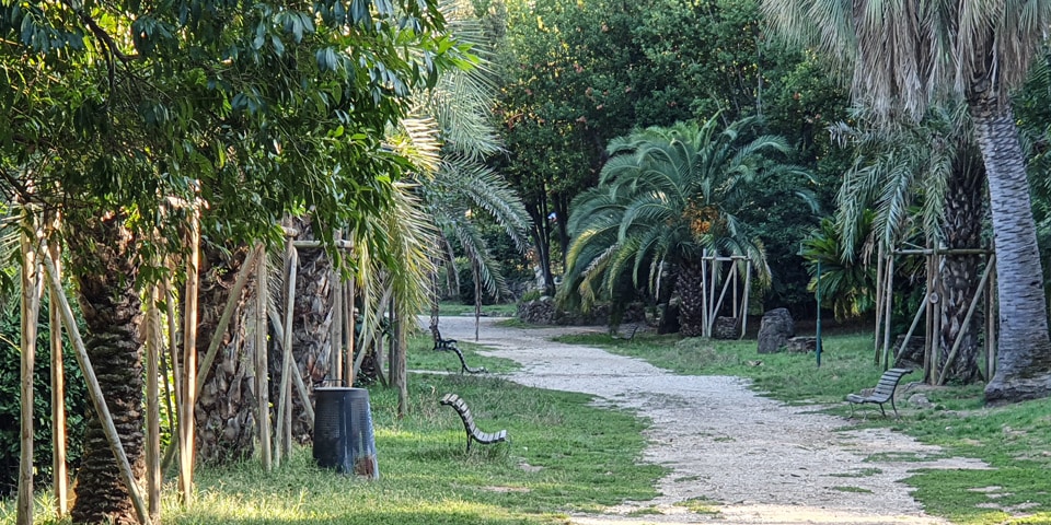 Schattiger Weg mit Palmen und Bänken in der Villa Sciarra